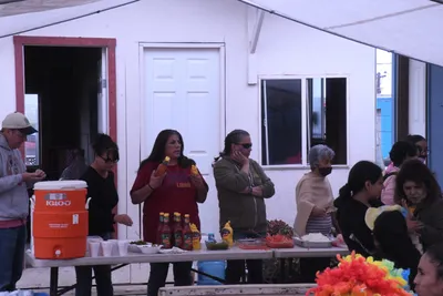 DSC_1437 (Large).JPG